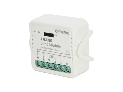 1 Gang Blind/Curtain Module (L+N)