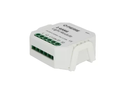 2 Gang Light Module (no Neutral)